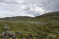 Tollak_20240730_66a90e2224577.jpg