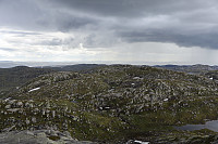 Tollak_20240730_66a90e230dbdd.jpg