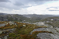 Tollak_20240730_66a90e24b3a2b.jpg
