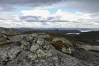 Tollak_20240730_66a90e26c3f95.jpg