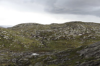 Tollak_20240730_66a90e296ccbe.jpg