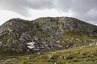 Tollak_20240730_66a90e2a7196b.jpg