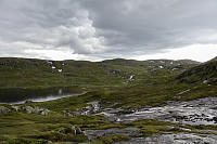 Tollak_20240730_66a90e2b3bd1a.jpg