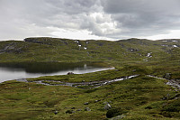 Tollak_20240730_66a90e2bf1f55.jpg