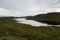 Tollak_20240730_66a90e2cb8935.jpg