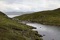 Tollak_20240730_66a90e2d5f7c9.jpg