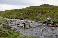 Tollak_20240730_66a90e2e59a03.jpg