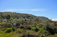 Tollak_20240810_66b77c28a765b.jpg