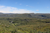 Tollak_20240810_66b77c2b5bb39.jpg