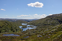 Tollak_20240810_66b77c2f58588.jpg