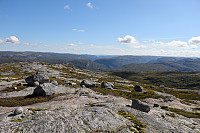 Tollak_20240810_66b77c3517312.jpg