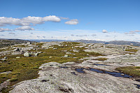 Tollak_20240810_66b77c35e0d07.jpg