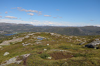 Tollak_20240810_66b77c38de5d2.jpg
