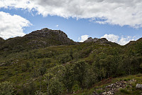 Tollak_20240810_66b77f5ab3ef6.jpg