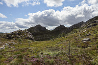 Tollak_20240810_66b77f5b93f8a.jpg