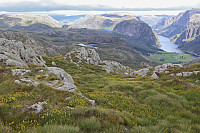 Tollak_20240810_66b77f6620666.jpg
