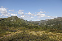Tollak_20240810_66b7a71318fe3.jpg