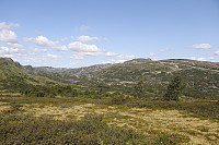 Tollak_20240810_66b7a713f3d11.jpg