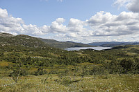Tollak_20240810_66b7a714aeee0.jpg