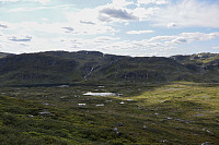 Tollak_20240810_66b7a716b3858.jpg