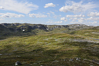 Tollak_20240810_66b7a717683f2.jpg