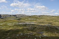Tollak_20240810_66b7a71811b79.jpg
