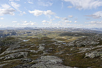 Tollak_20240810_66b7a71971f7b.jpg