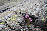 Tollak_20240810_66b7a71ac644d.jpg