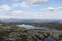 Tollak_20240810_66b7a71cd64fb.jpg
