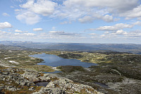 Tollak_20240810_66b7a71f63937.jpg