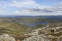 Tollak_20240810_66b7a7217926b.jpg