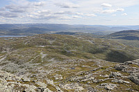 Tollak_20240810_66b7a722454d7.jpg
