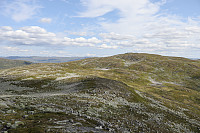 Tollak_20240810_66b7a723a53ab.jpg
