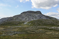 Tollak_20240810_66b7a72455f73.jpg