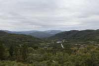 Tollak_20240810_66b7af0e6737e.jpg