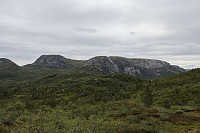 Tollak_20240810_66b7af0f3af47.jpg