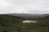Tollak_20240810_66b7af0fd127c.jpg