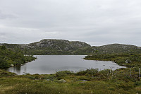 Tollak_20240810_66b7af10977d7.jpg