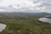 Tollak_20240810_66b7af11ec36f.jpg