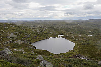 Tollak_20240810_66b7af128df02.jpg