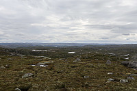 Tollak_20240810_66b7af13d1329.jpg
