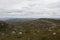 Tollak_20240810_66b7af1549d41.jpg