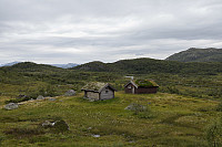 Tollak_20240810_66b7af1a17d45.jpg