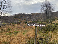 Tollak_20240810_66b7d11c94c15.jpg