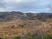 Tollak_20240810_66b7d11da18e9.jpg