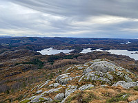 Tollak_20240810_66b7d1219c10a.jpg
