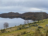 Tollak_20240810_66b7d129c2776.jpg