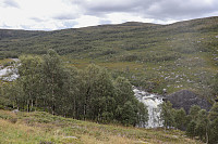 Tollak_20240903_66d768b89fa53.jpg