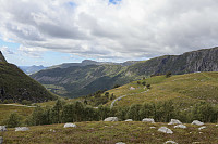 Tollak_20240903_66d768ba16bfe.jpg