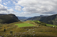 Tollak_20240903_66d768bac0226.jpg